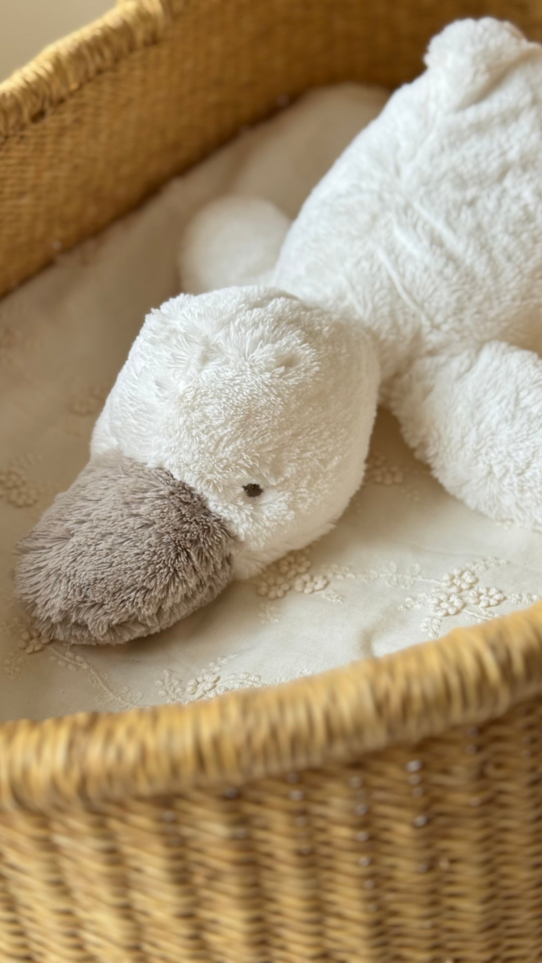 dimpel /  soft toy (Celine)