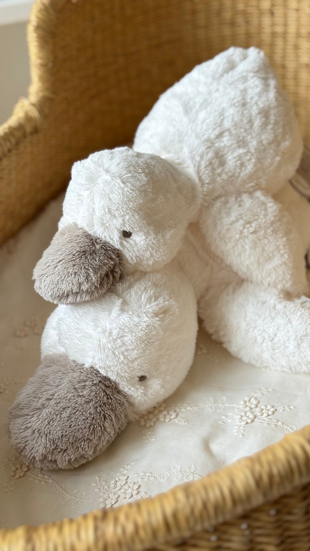 dimpel /  soft toy (Celine)