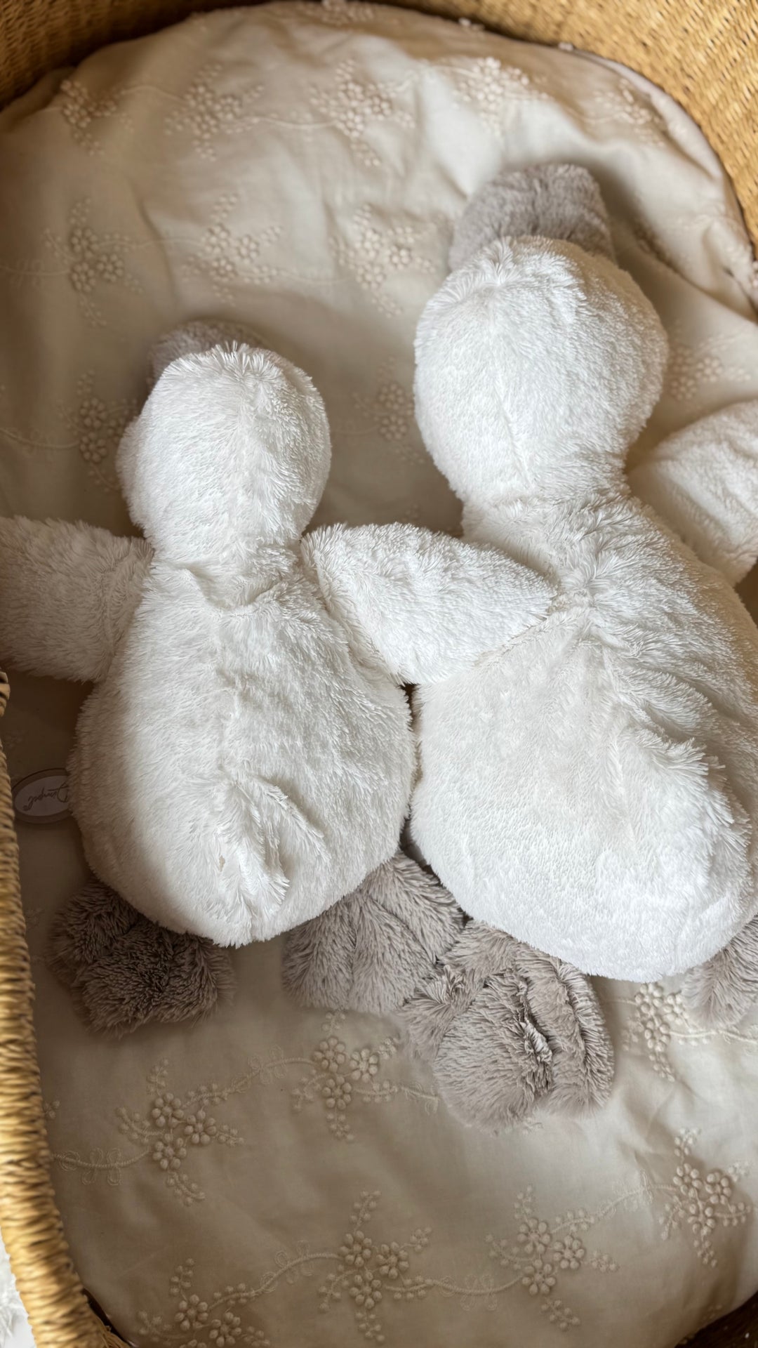 dimpel /  soft toy (Celine)