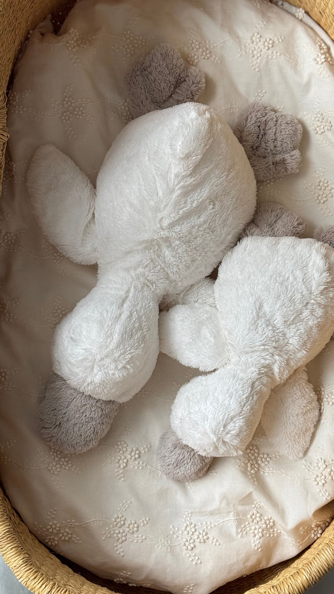 dimpel /  soft toy (Celine)