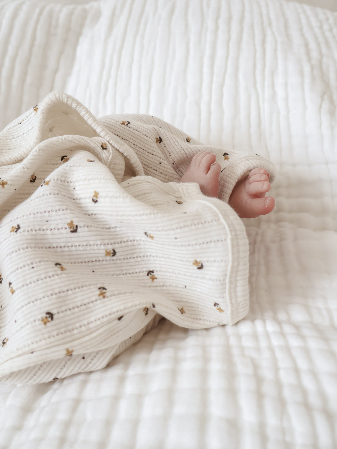 peekaboo  / moss newborn set